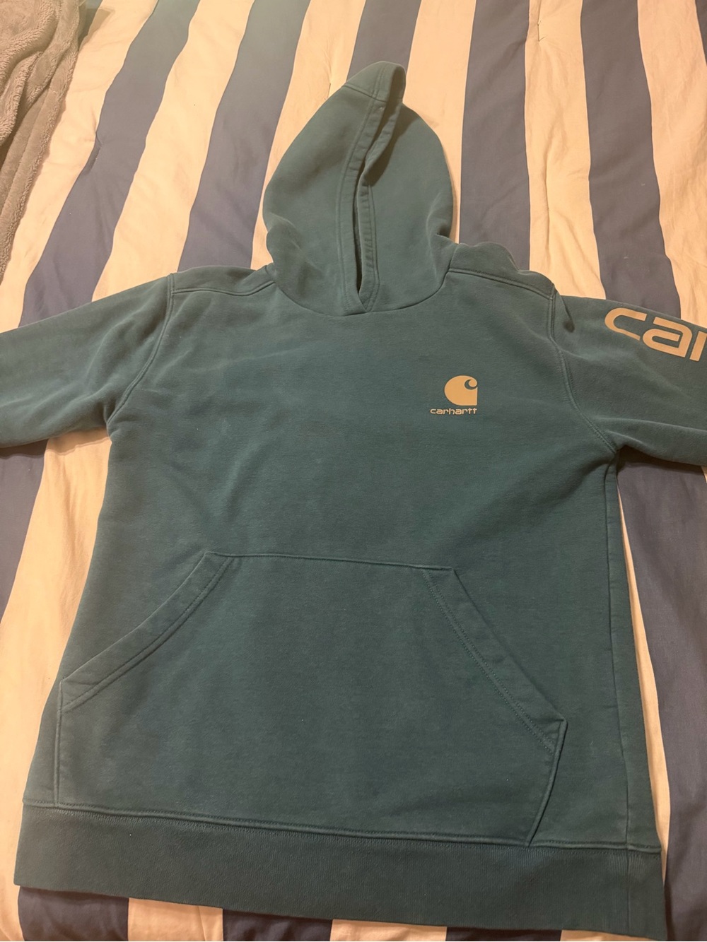 Carhartt Teal Crewneck Hoodie with Logo